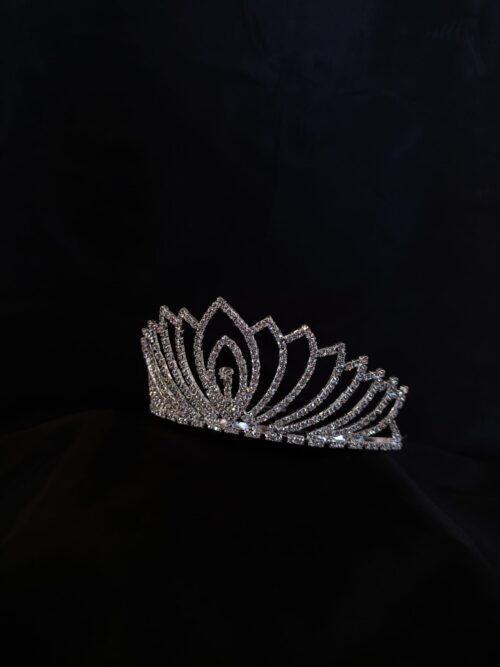 Diadema brillante