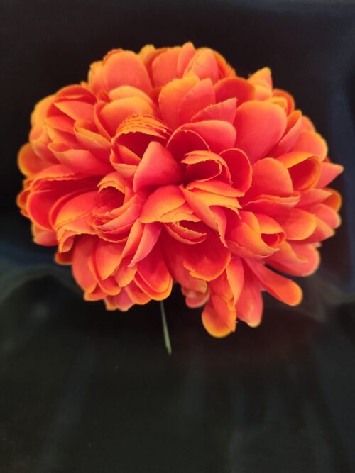 Flor mum naranja