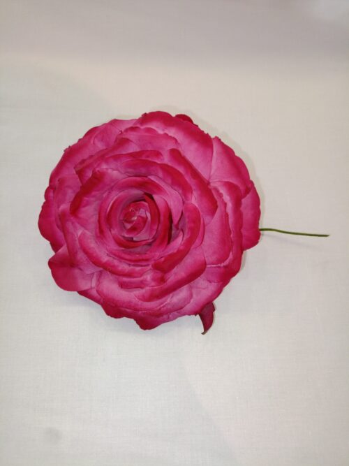 Rosa teñida