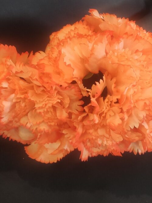 Ramilletes de claveles